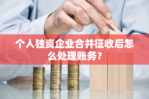 个人独资企业合并征收后怎么处理账务？