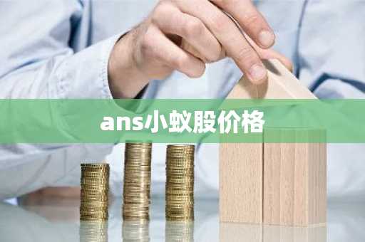 ans小蚁股价格