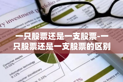 一只股票还是一支股票-一只股票还是一支股票的区别