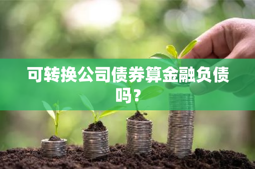 可转换公司债券算金融负债吗？