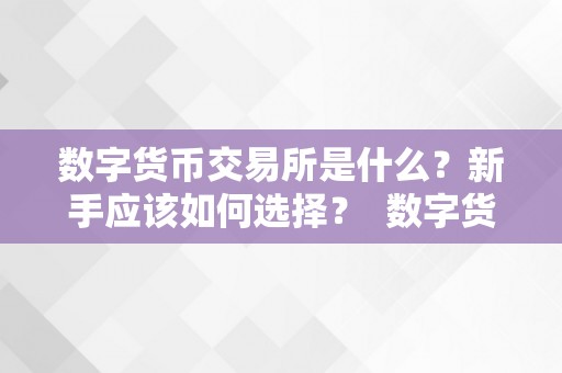 数字货币交易所是什么？新手应该如何选择？ 数字货币交易所是什么?新手应该如何选择交易