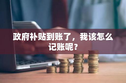 政府补贴到账了，我该怎么记账呢？