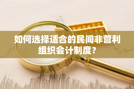 如何选择适合的民间非营利组织会计制度？