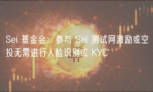 Si 基金会：参与 Si 测试网激励或空投无需进行人脸识别或 KYC