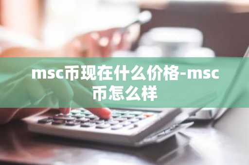 msc币现在什么价格-msc币怎么样