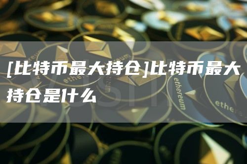 [比特币最大持仓]比特币最大持仓是什么