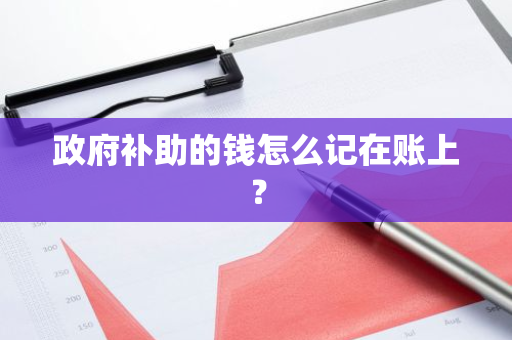 政府补助的钱怎么记在账上？