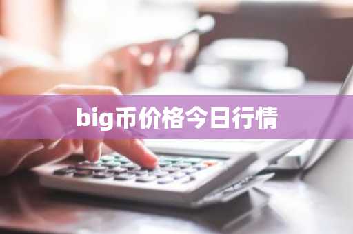 big币价格今日行情