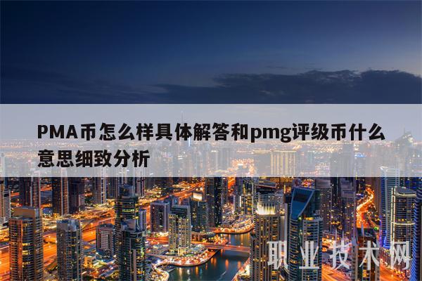 PMA币怎么样具体解答和pmg评级币什么意思细致分析