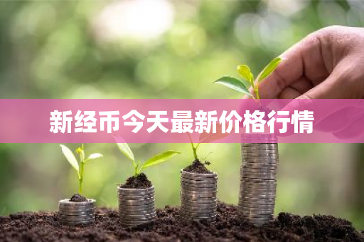 新经币今天最新价格行情