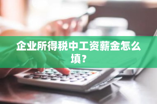 企业所得税中工资薪金怎么填？