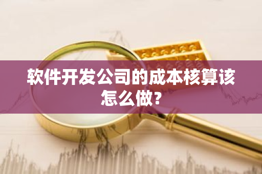 软件开发公司的成本核算该怎么做？