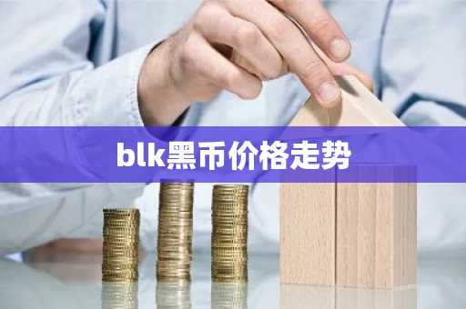 blk黑币价格走势