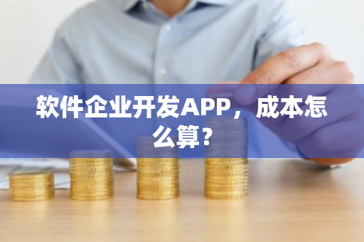 软件企业开发APP，成本怎么算？