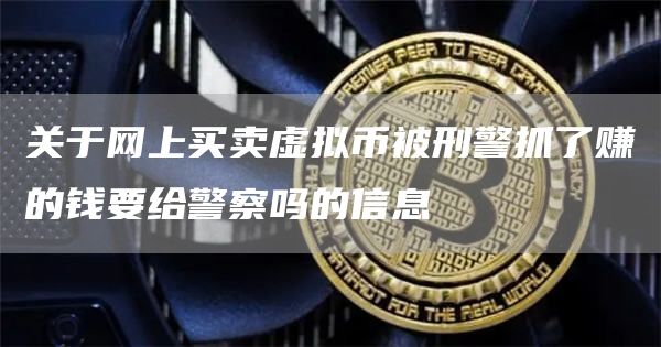 关于网上买卖虚拟币被刑警抓了赚的钱要给警察吗的信息