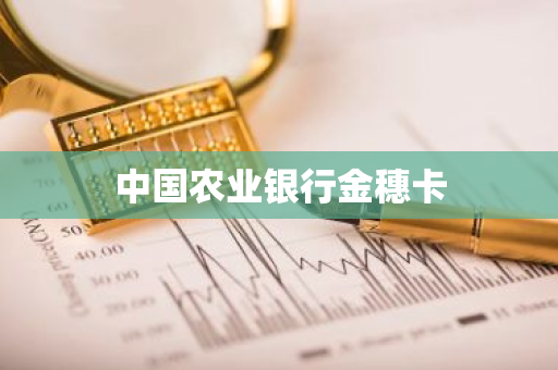 中国农业银行金穗卡