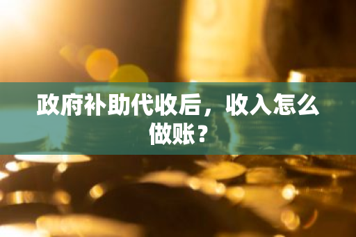 政府补助代收后，收入怎么做账？