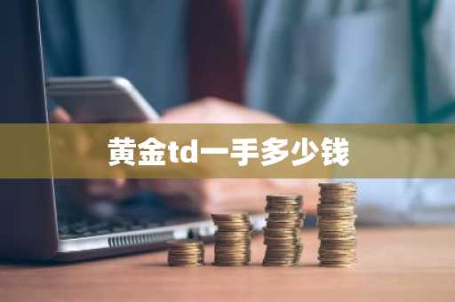 黄金td一手多少钱