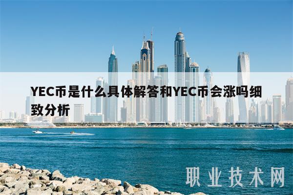 YEC币是什么具体解答和YEC币会涨吗细致分析