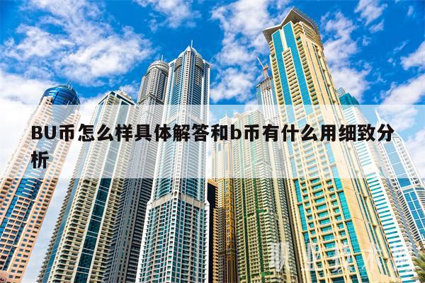 BU币怎么样具体解答和b币有什么用细致分析