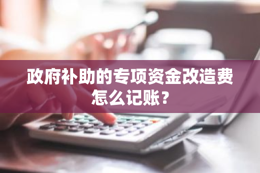 政府补助的专项资金改造费怎么记账？