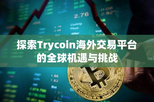 探索Trycoin海外交易平台的全球机遇与挑战