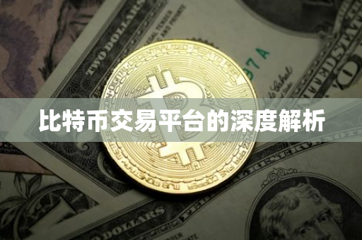 比特币交易平台的深度解析