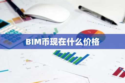 BIM币现在什么价格