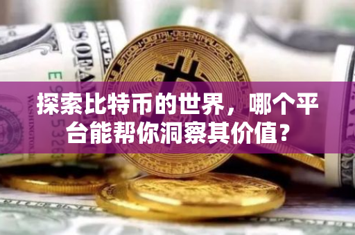 探索比特币的世界，哪个平台能帮你洞察其价值？