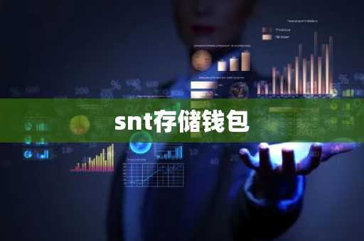 snt存储钱包