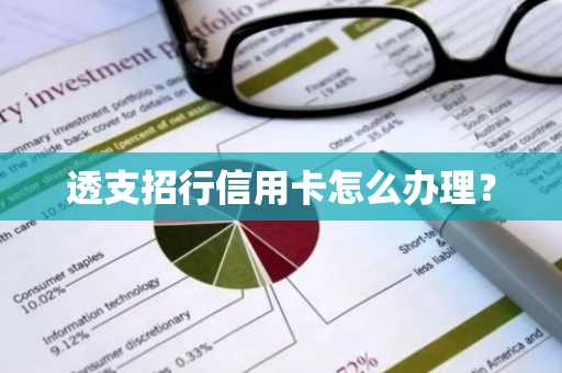 透支招行信用卡怎么办理？