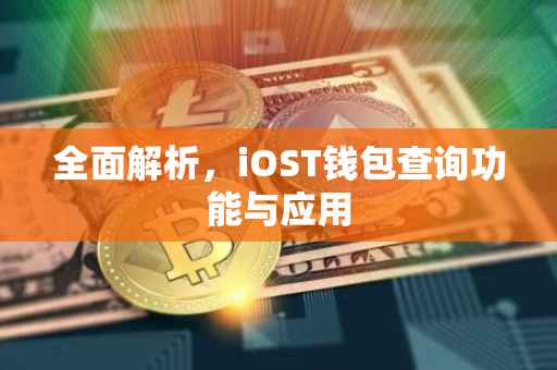 全面解析，iOST钱包查询功能与应用