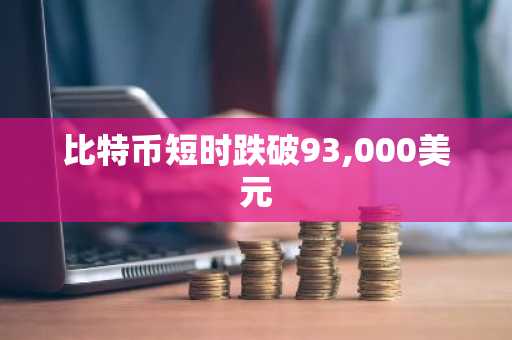 比特币短时跌破93,000美元