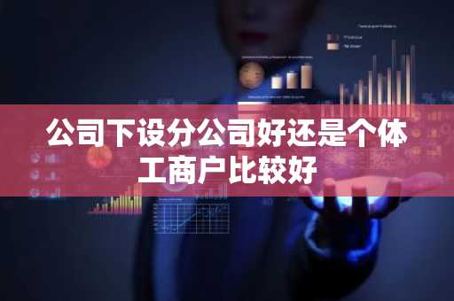 公司下设分公司好还是个体工商户比较好