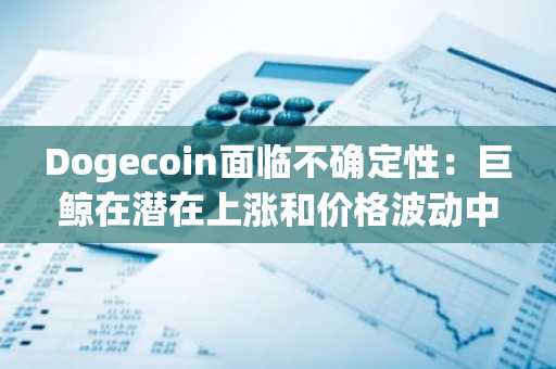 Dogecoin面临不确定性：巨鲸在潜在上涨和价格波动中累积