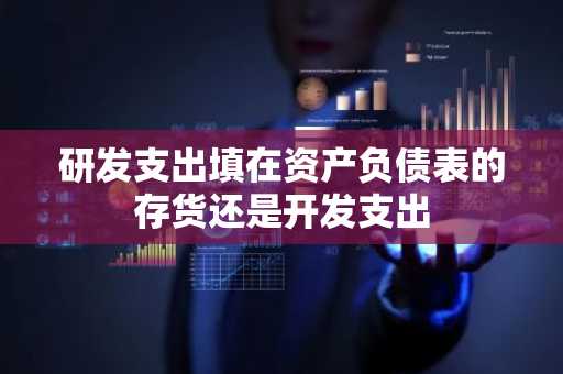 研发支出填在资产负债表的存货还是开发支出