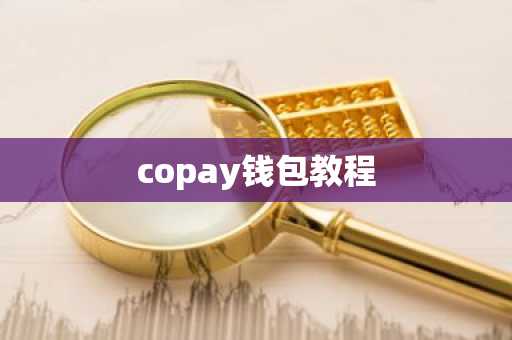 copay钱包教程