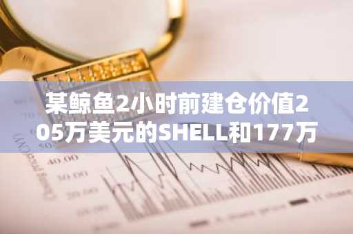 某鲸鱼2小时前建仓价值205万美元的SHELL和177万美元的BNB