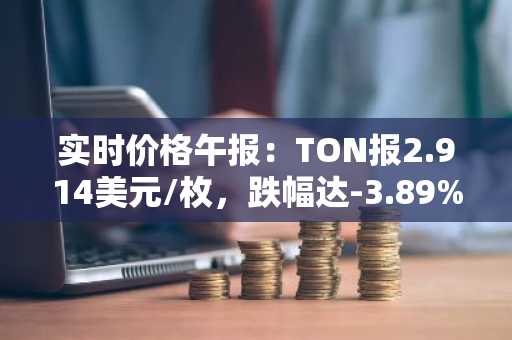 实时价格午报：TON报2.914美元/枚，跌幅达-3.89%