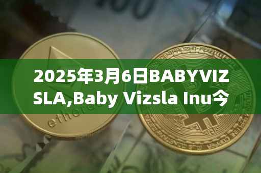 2025年3月6日BABYVIZSLA,Baby Vizsla Inu今日行情最新价格