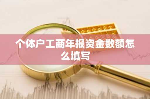 个体户工商年报资金数额怎么填写