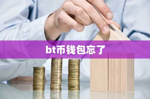 bt币钱包忘了