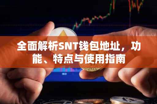 全面解析SNT钱包地址，功能、特点与使用指南