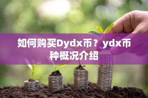 如何购买Dydx币？ydx币种概况介绍