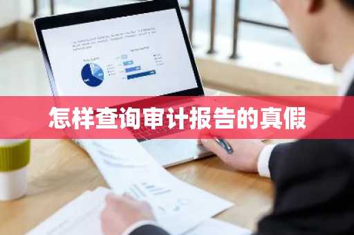 怎样查询审计报告的真假