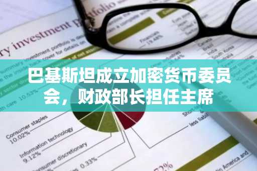 巴基斯坦成立加密货币委员会，财政部长担任主席