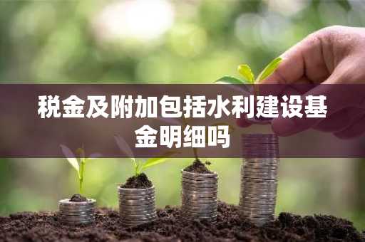 税金及附加包括水利建设基金明细吗