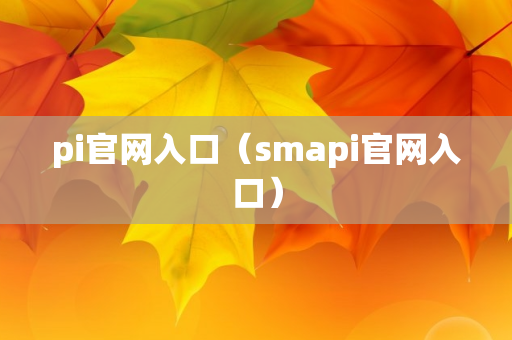 pi官网入口（smapi官网入口）