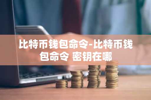 比特币钱包命令-比特币钱包命令 密钥在哪