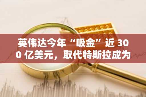 英伟达今年“吸金”近 300 亿美元，取代特斯拉成为散户净买入量最大股票